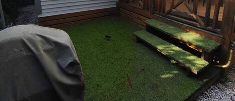 Terras
