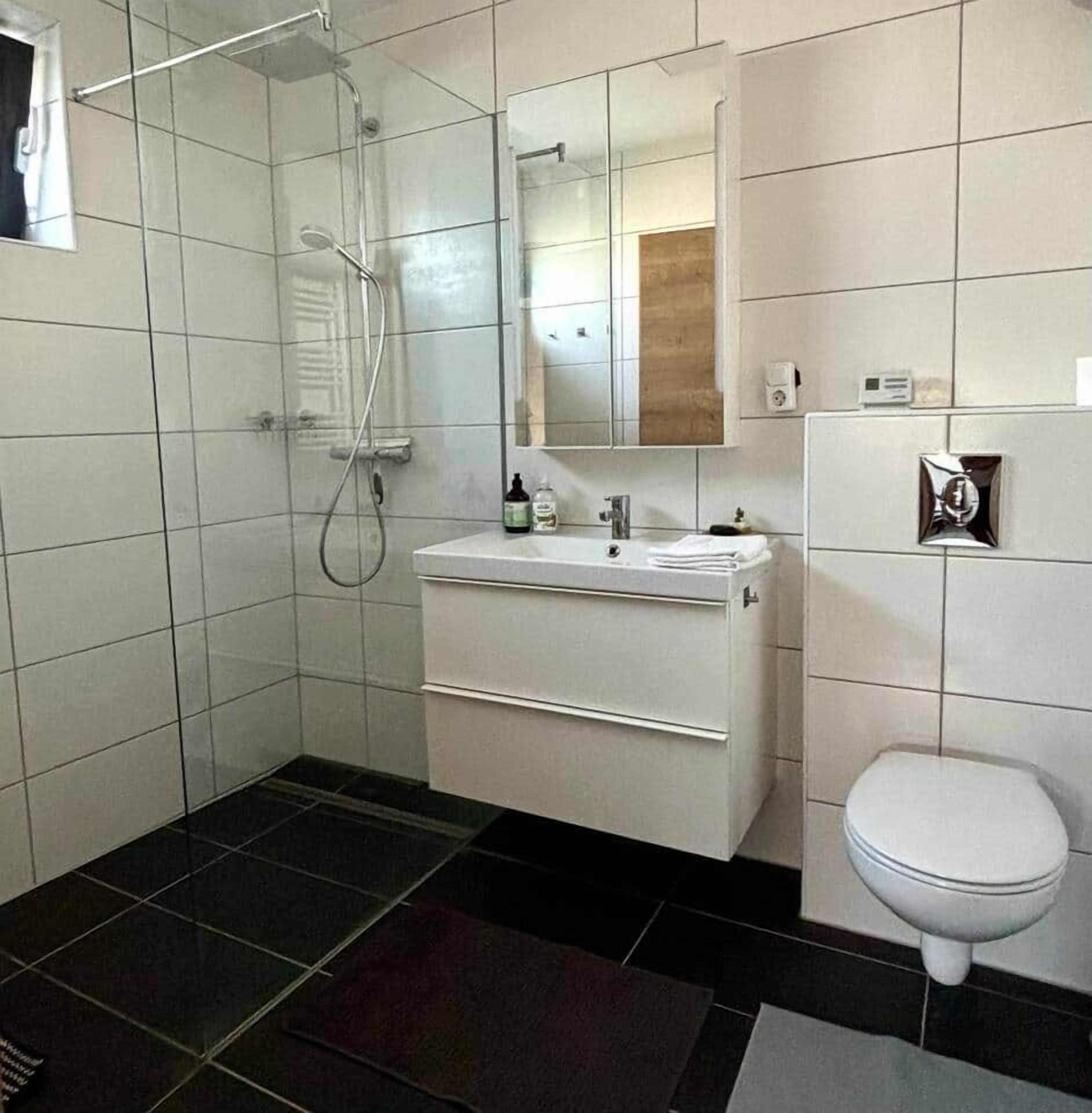 Chuveiro, secador de cabelo, toalhas de banho 