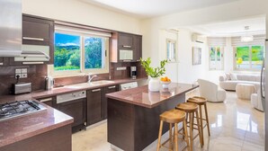 A modern kitchen with a central island, dark cabinetry, and a view of greenery outside.