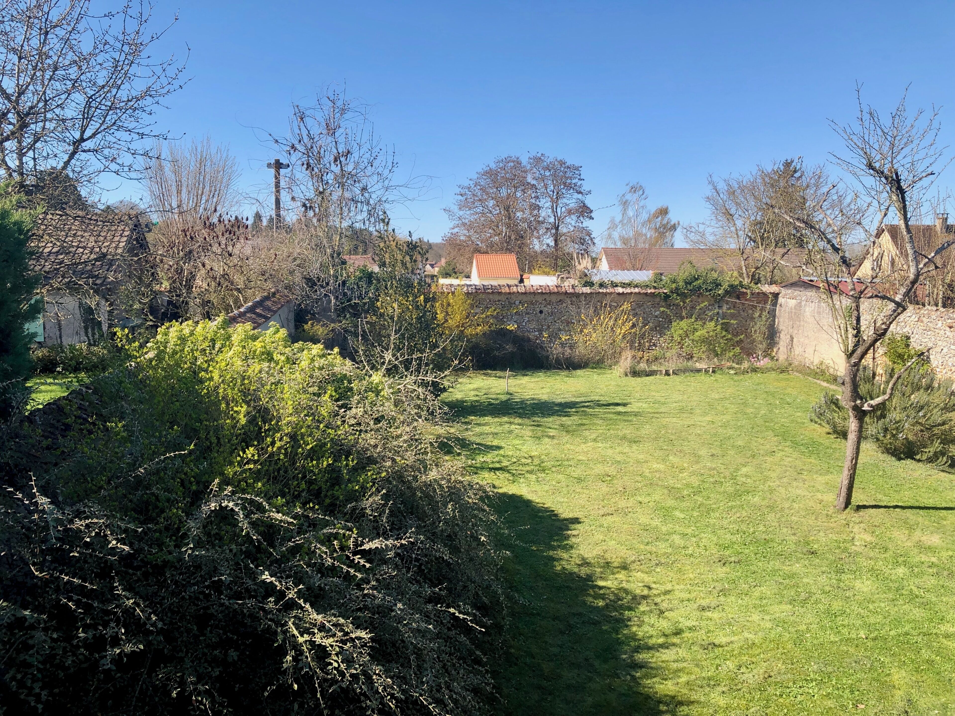 A grassy yard with a stone wall, trees, and a building with a red roof in the background.