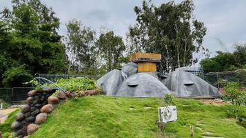 Terrein van de accommodatie