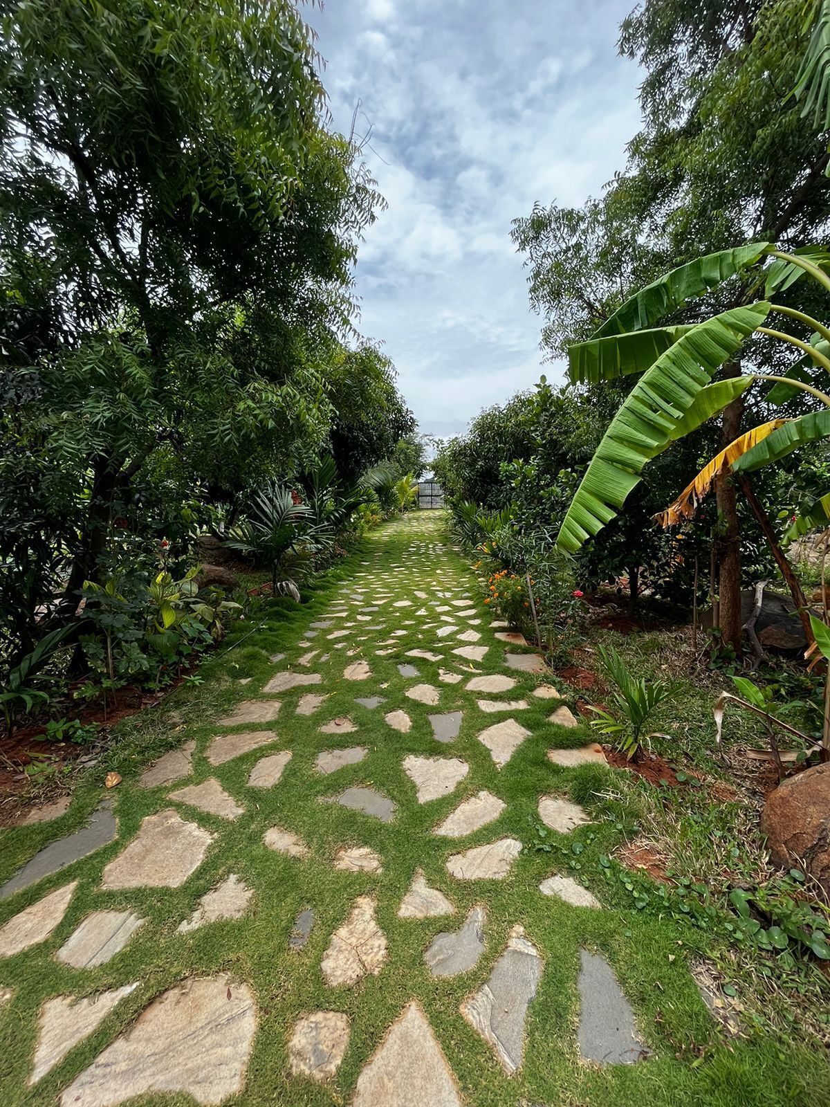 Overnattingsstedets uteområder