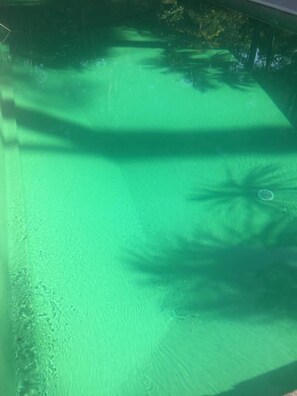 Pool - Vrbo Property (Seignosse)