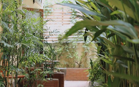 A narrow pathway flanked by potted plants and brick planters, leading to a building with a wooden fence and greenery in the background.