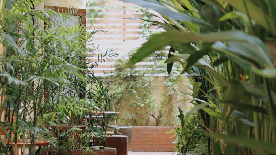 MyRoom An Viên - District 1