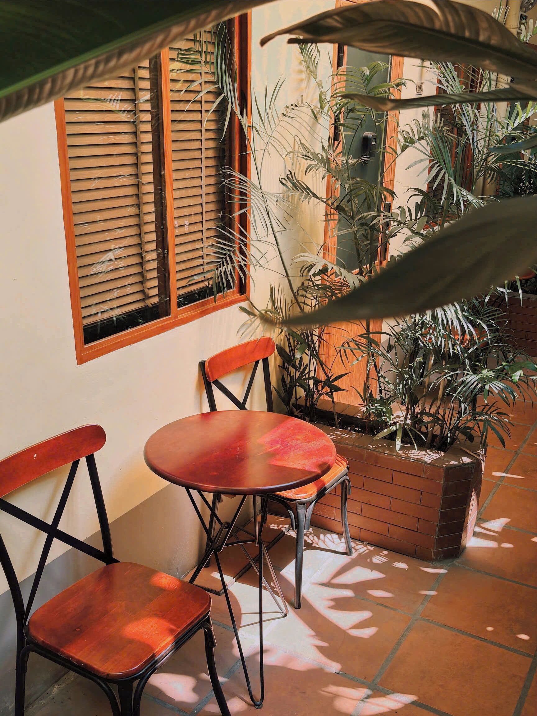 Un espacio al aire libre con dos sillas de madera y una mesita, rodeado de plantas en macetas y una ventana con persianas.