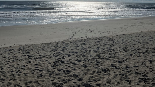 Ein Strand mit Fußspuren, die zum Wasser führen, ein klarer Himmel und strahlender Sonnenschein.