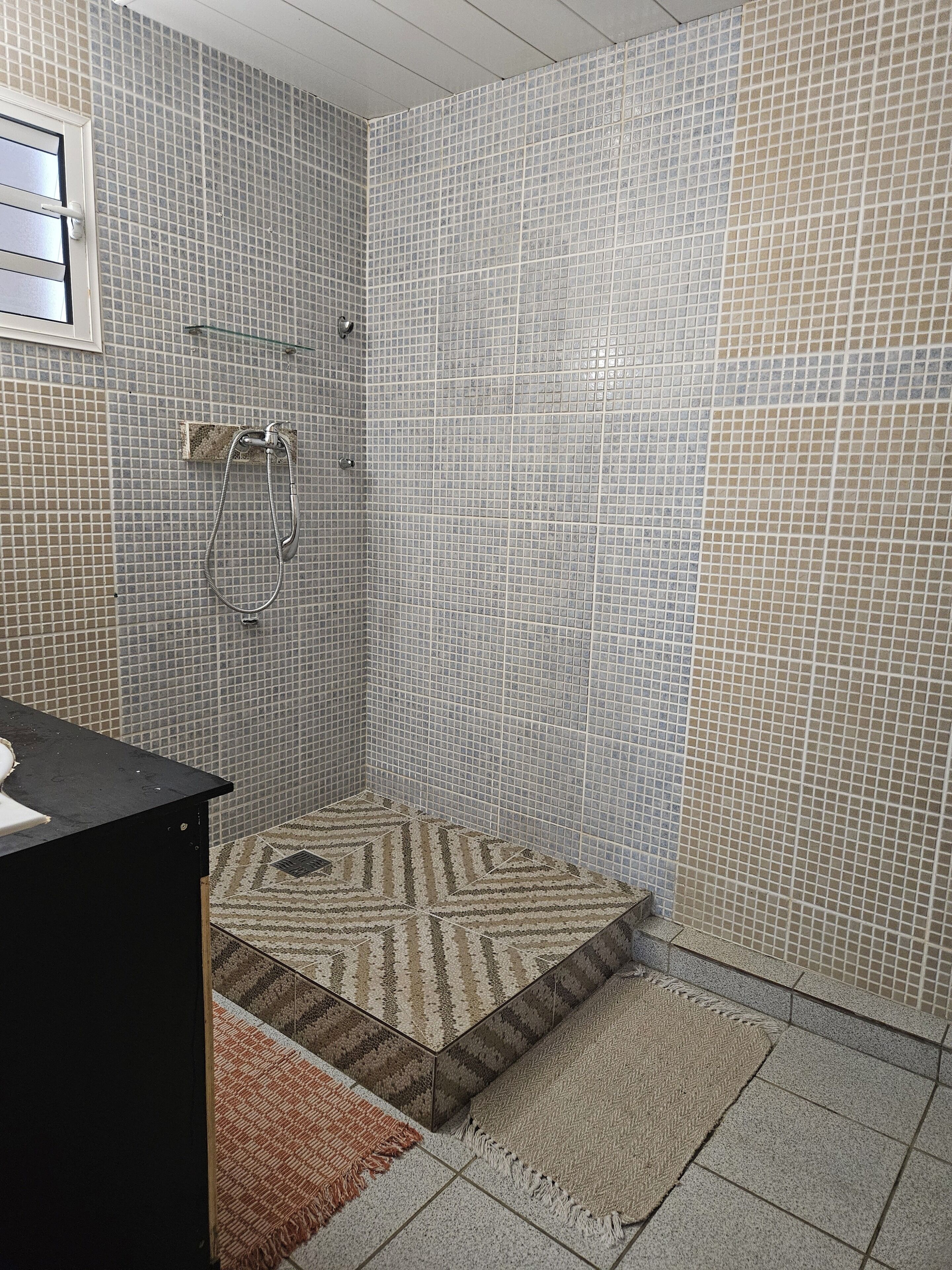 Shower, hair dryer, towels, toilet paper