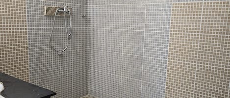 Shower, hair dryer, towels, toilet paper