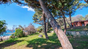 Overnatningsstedets område