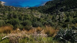 Un paisaje costero con una vista despejada del mar, terreno montañoso con vegetación densa y una pequeña isla a lo lejos.