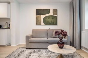TV - TYS One Bedroom Basement Apartment (Reykjavík)