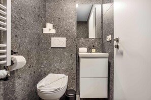Shower, hair dryer, towels, shampoo - TYS One Bedroom Basement Apartment (Reykjavík)