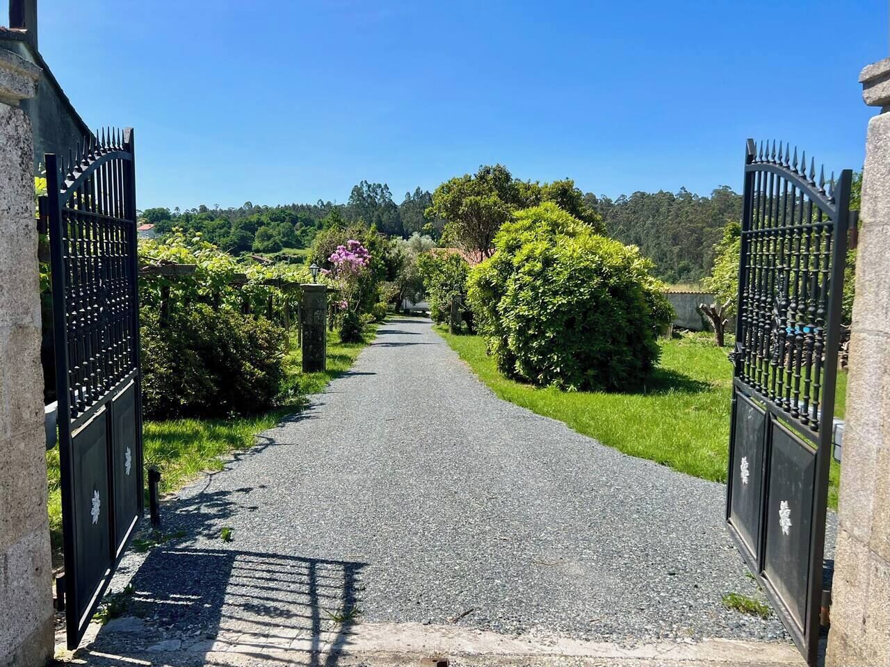 Familiehus, terrasse, fjellutsikt | Overnattingsstedets uteområder