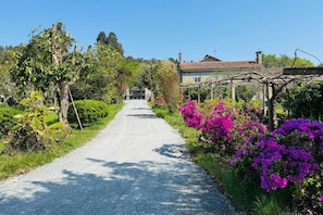 A rural road leading to a house with a garden and a pergola. - Casa Santi - 10 Min de Santiago  (Santiago de Compostela)