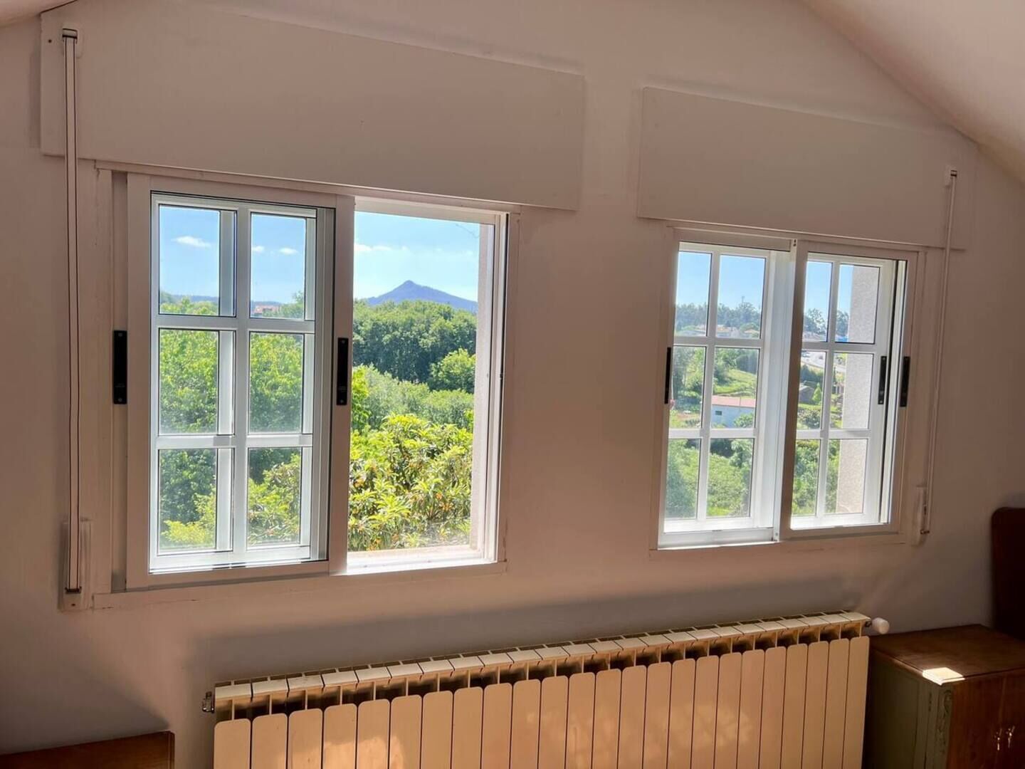 A room with two large windows, a radiator, and a view of greenery and a mountain.