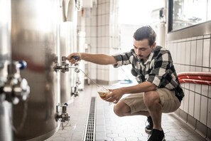 Miscellaneous - Hotel Putzer (Schabs)