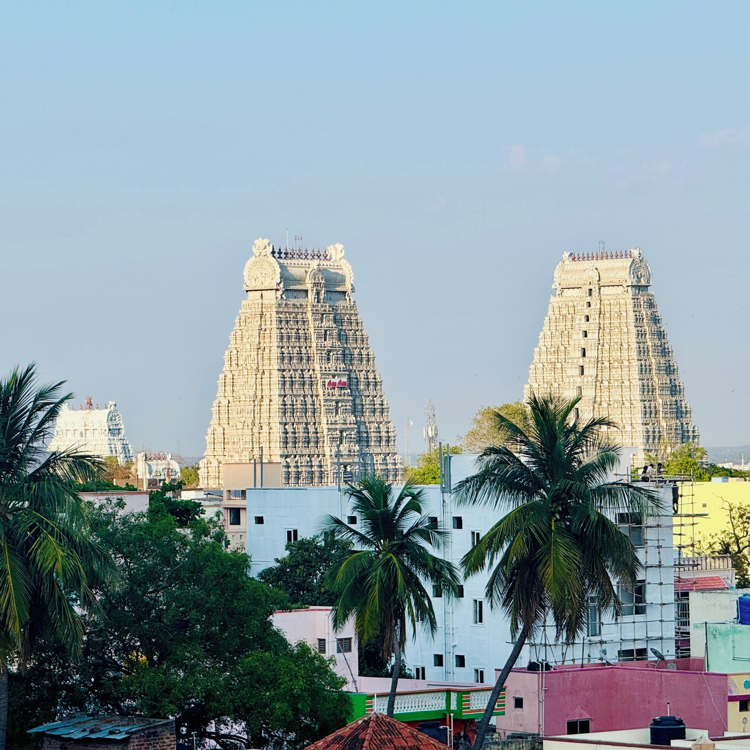 デラックス アパートメント | その他