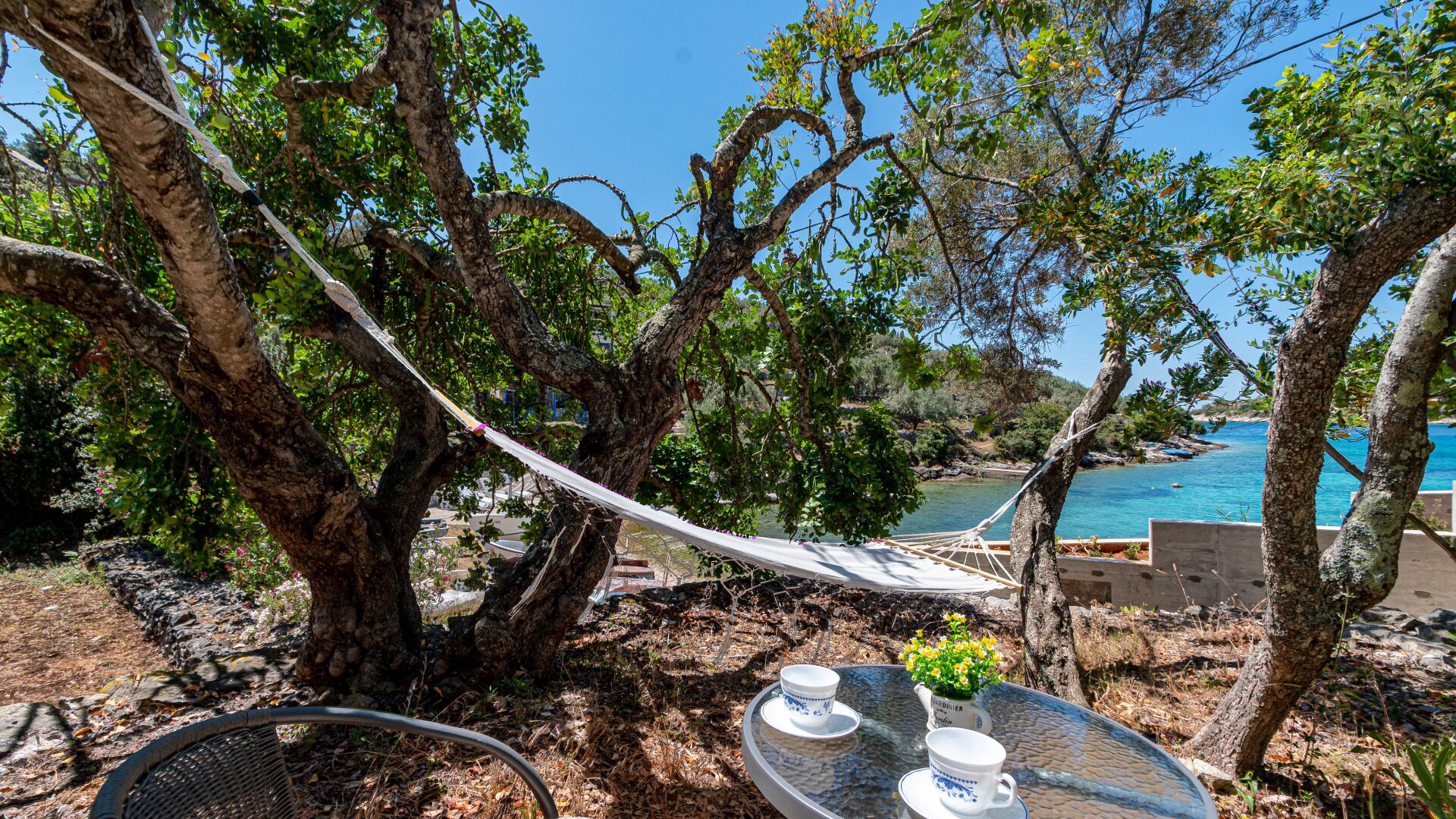 Un'amaca legata tra gli alberi, un tavolo con tazza e piattino, e vista su un'acqua blu.