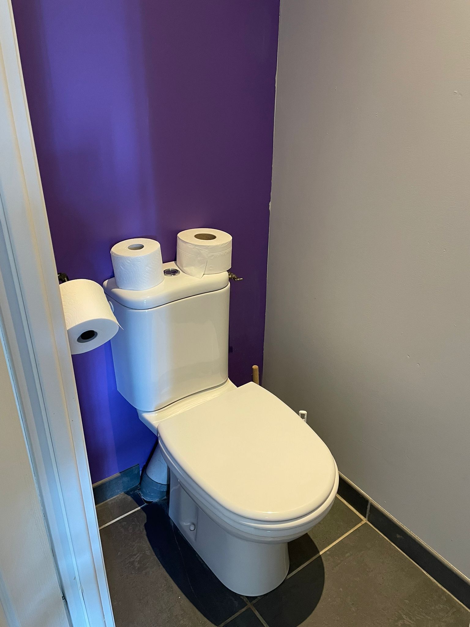 Un baño con inodoro, dos rollos de papel higiénico y una pared morada.