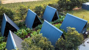Un bâtiment moderne doté de plusieurs toits triangulaires, entouré d’une végétation luxuriante et surplombé d’un ciel dégagé.