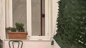 Un conjunto de escalones de piedra que conducen a un ventanal con una maceta en el alféizar y una silla al lado de las escaleras.