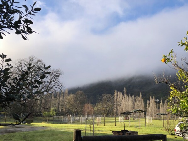 Overnatningsstedets område