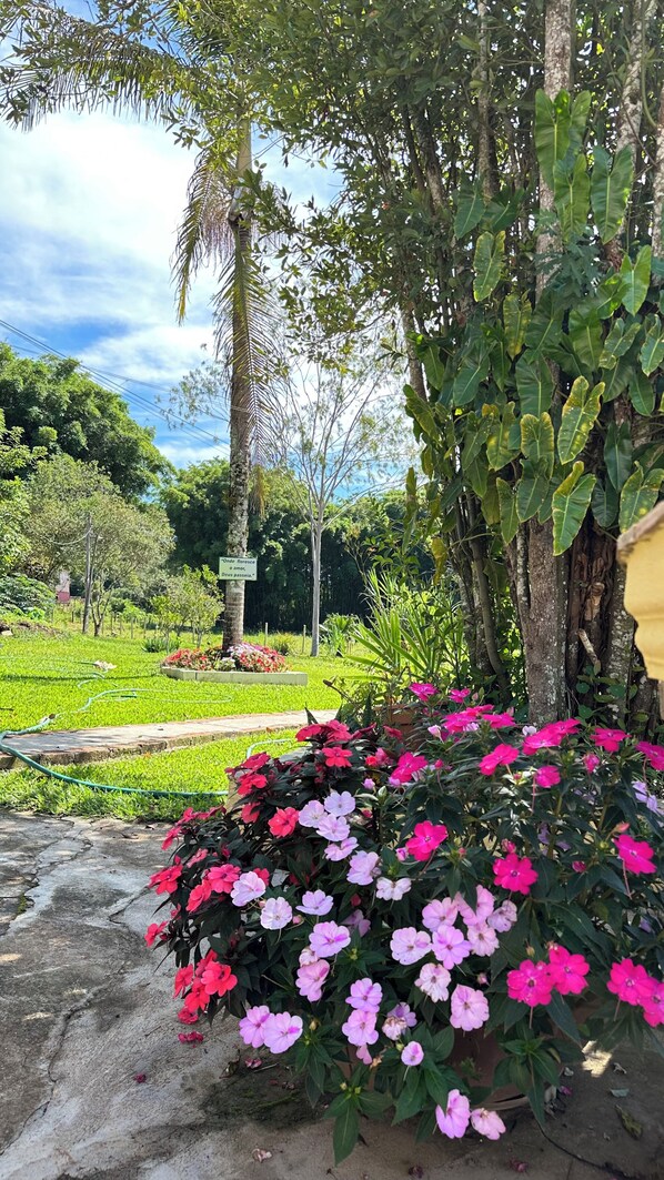 Ein Garten mit blühenden Pflanzen und einem Schild.