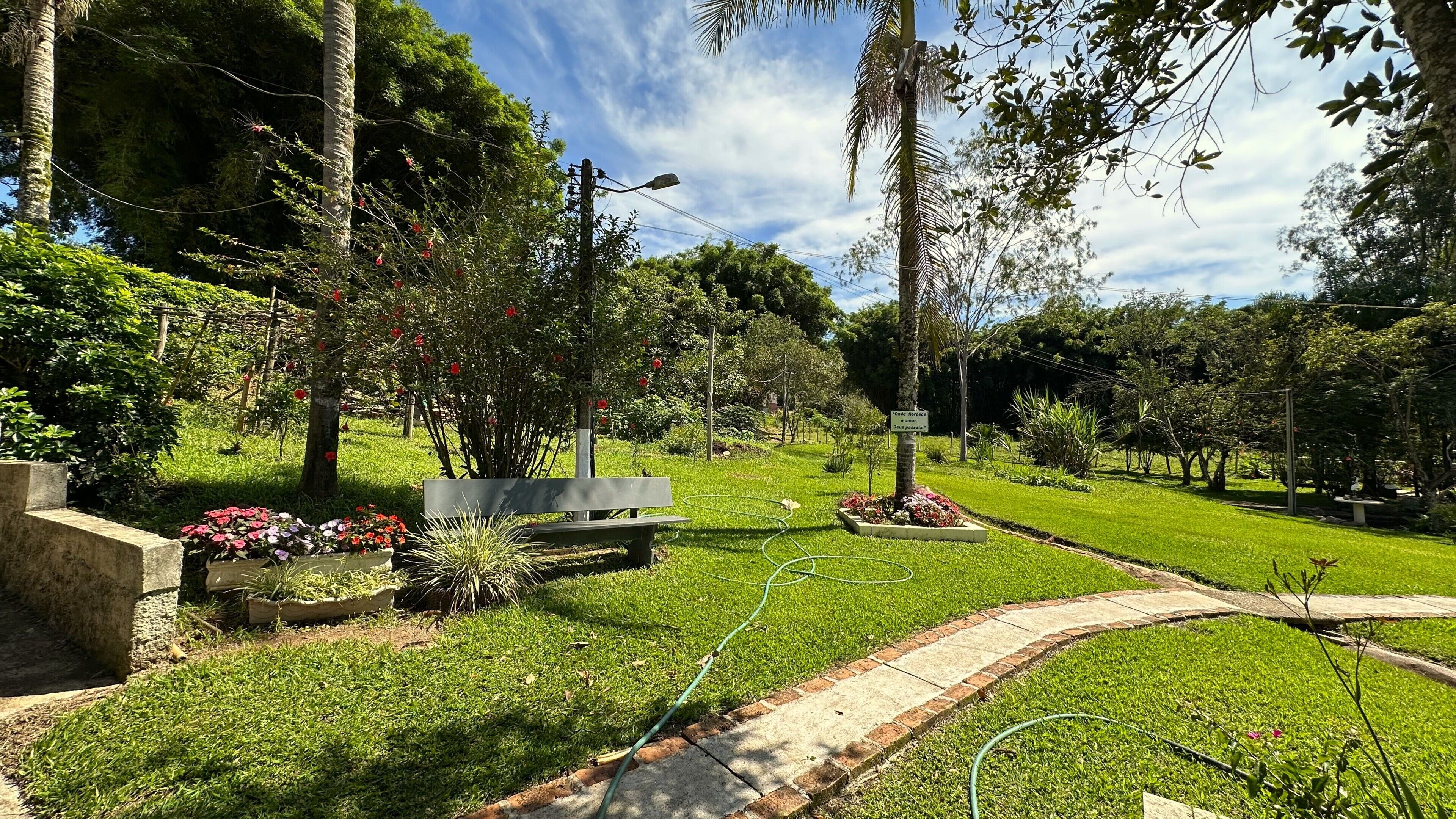 Un jardín bien cuidado con un banco, un cartel que indica jardín de rosas y un camino pavimentado.