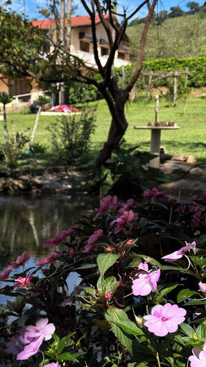 المنطقة المحيطة بالمنشأة