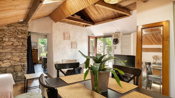 Un intérieur rustique avec des murs en pierre, des poutres en bois, un coin repas avec une table et des chaises, et une grande plante en pot.