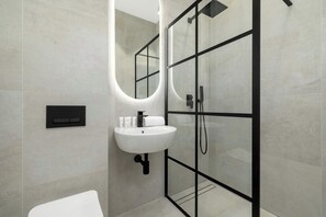 Chuveiro, secador de cabelo, toalhas de banho, shampoo