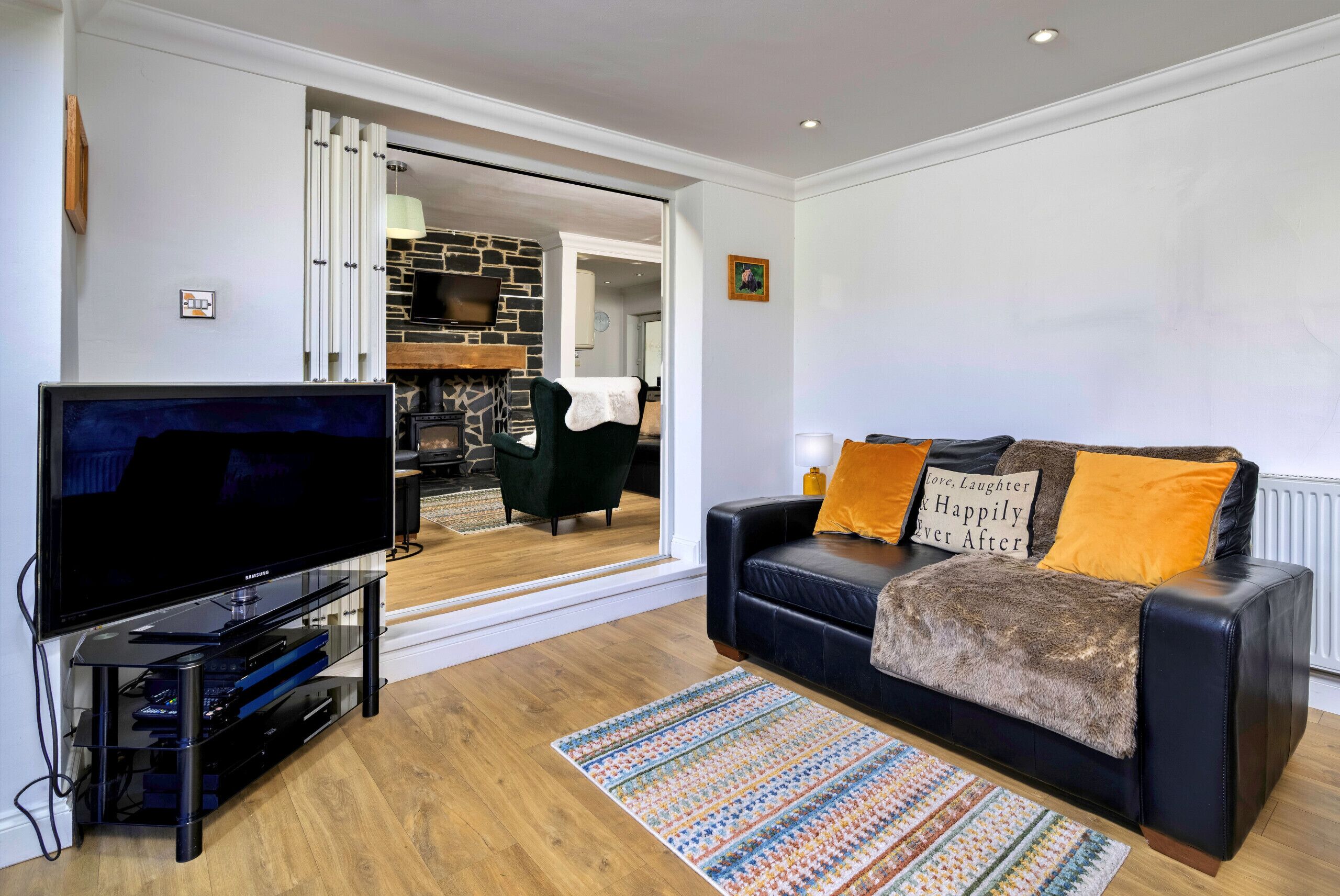 TV, fireplace