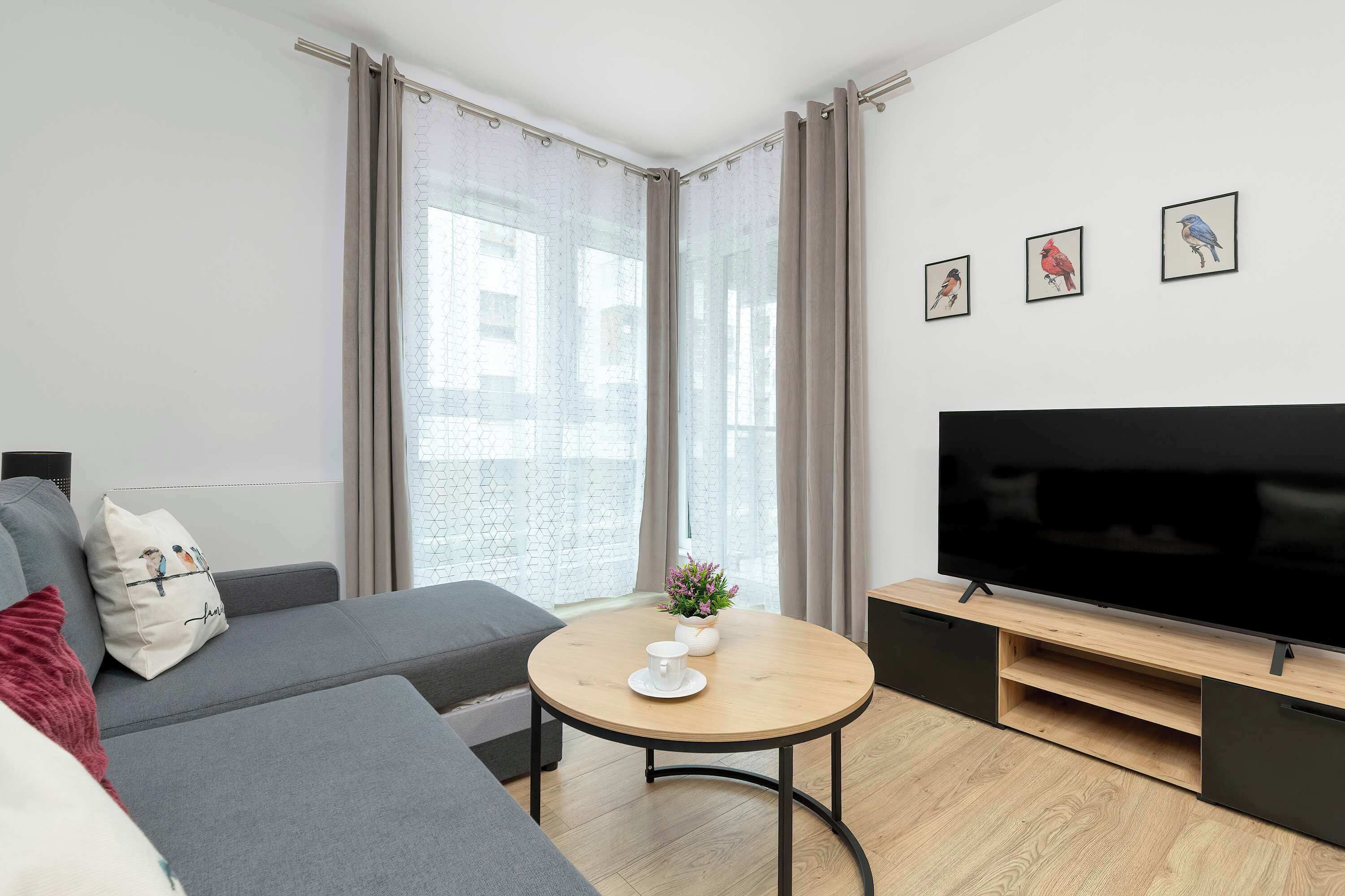 A bright living room with a gray sofa, a round wooden coffee table, and a TV on a low stand near large windows with sheer curtains.