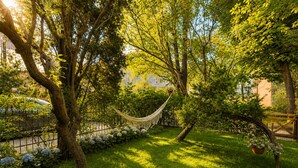 Un hamac dans un jardin luxuriant et verdoyant, avec des arbres et une clôture.