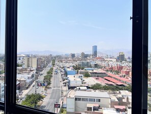 Vista desde la propiedad