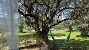 Una hamaca atada a un árbol en un área cubierta de hierba, con cielo despejado.