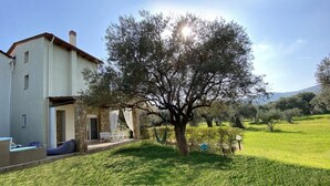 Una casa con un patio, un árbol y un jardín cubierto de césped.