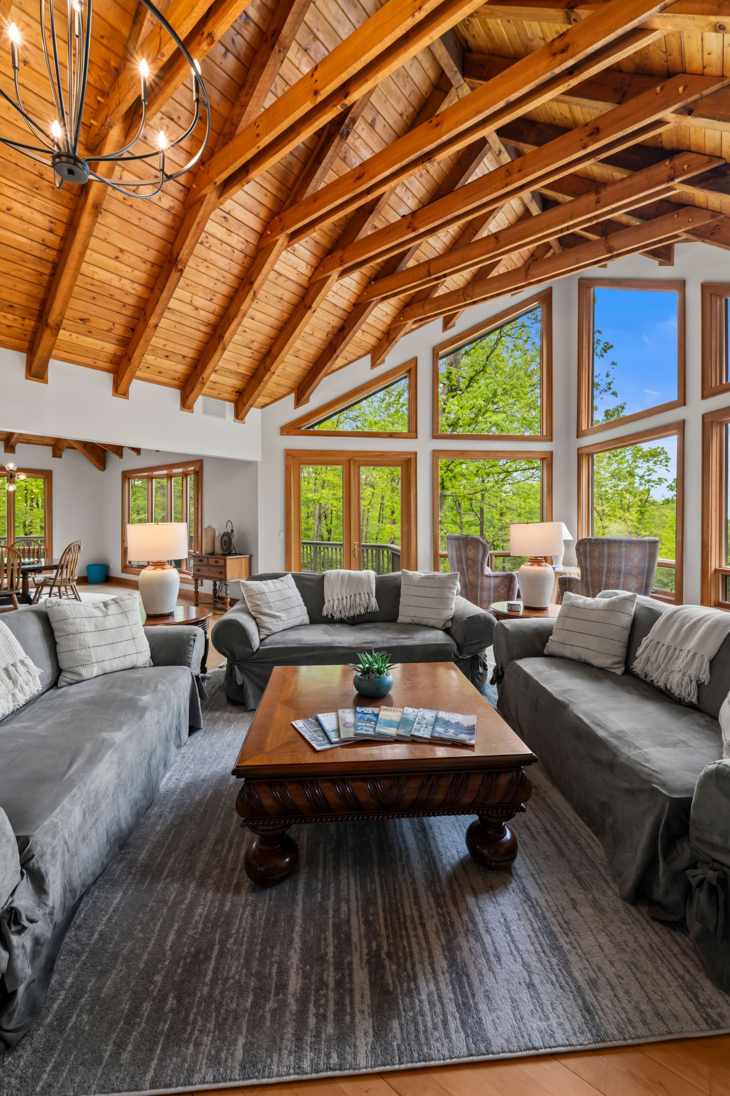 TV, fireplace, books, stereo