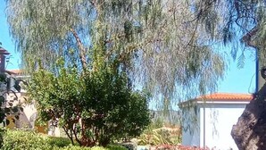 A paved pathway flanked by neatly trimmed hedges and trees, leading towards a building with a white facade and a red roof. - Sardinia Hillside Retreat - Apt 13 - 2BR, quiet area, parking (Santa Maria Coghinas)