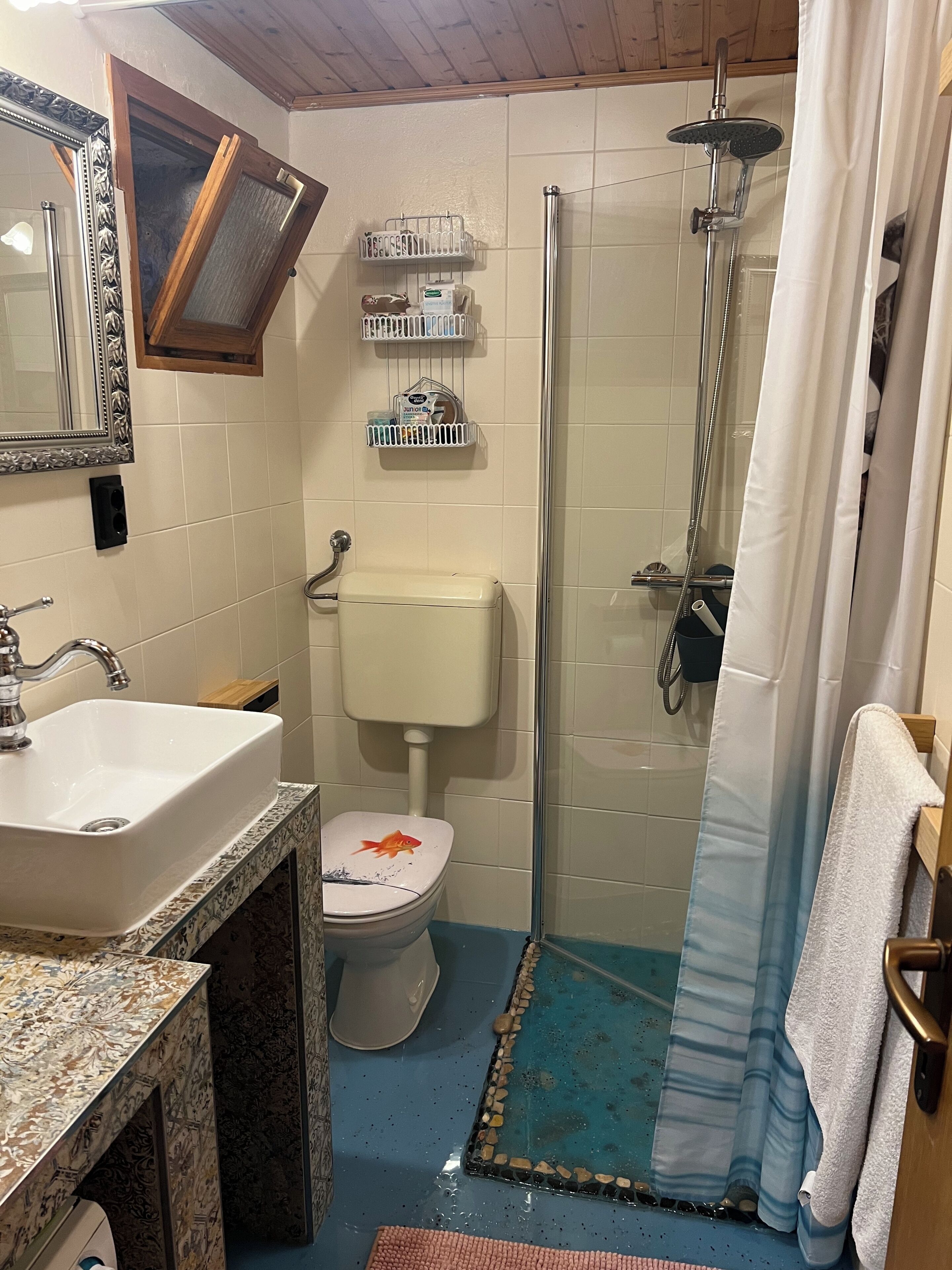 Shower, hair dryer, towels, toilet paper
