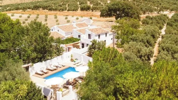 Una villa con piscina, olivares y una montaña al fondo.