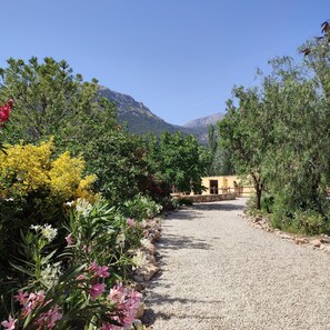 Property grounds - Cosy mountain cottage, 45 min Málaga,stunning views, heated pool, horses on site (Villanueva del Trabuco)