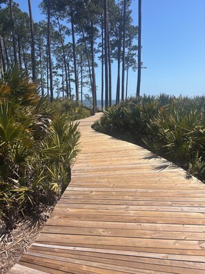 A wooden pathway leading through a forested area with tall trees and dense foliage. - Family-Focused Beach Bungalow Steps from the Beach with Resort Pool (St Teresa)