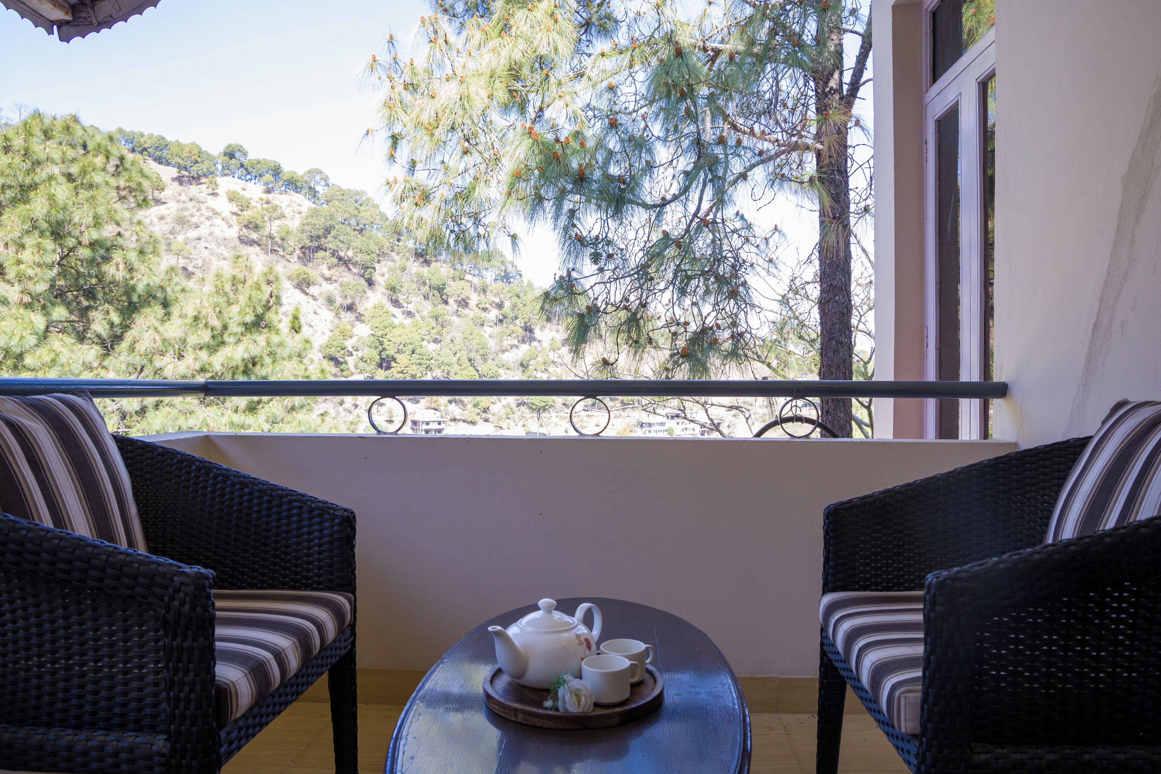 Deluxe Villa | Property grounds