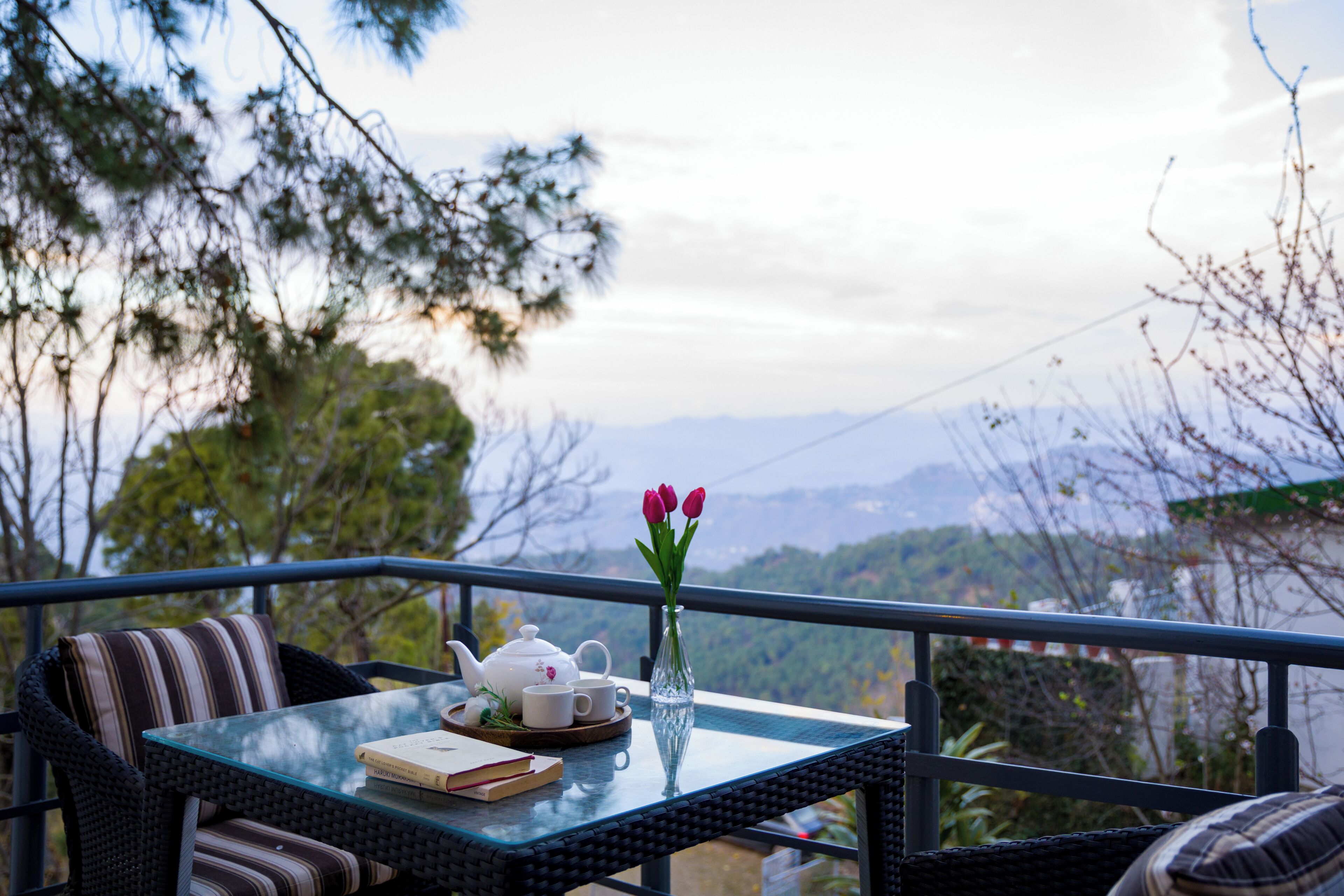 Deluxe Villa | Outdoor dining