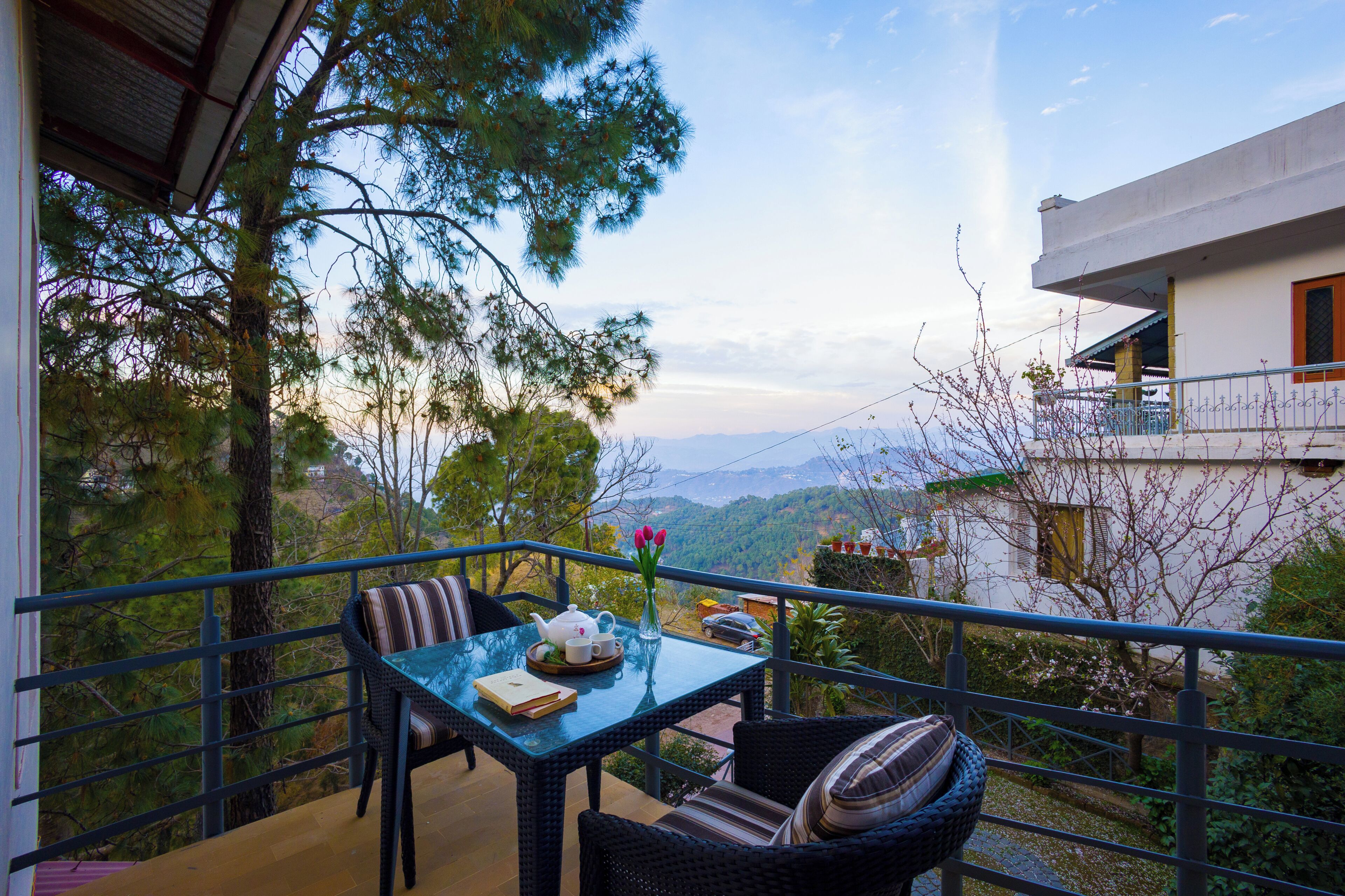 تناول الطعام بالخارج