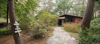 Brechts Boshuisje Quiet Holiday Home with Sauna