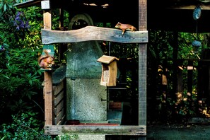 星評価なしの画像、5 / 20、ボタン