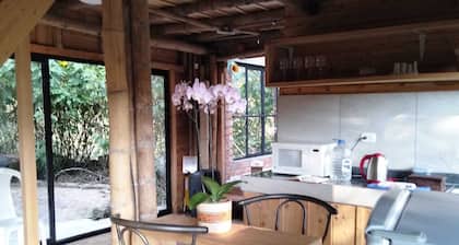 Create happy moments in the company of the ones you love the most! We are pet friendly!